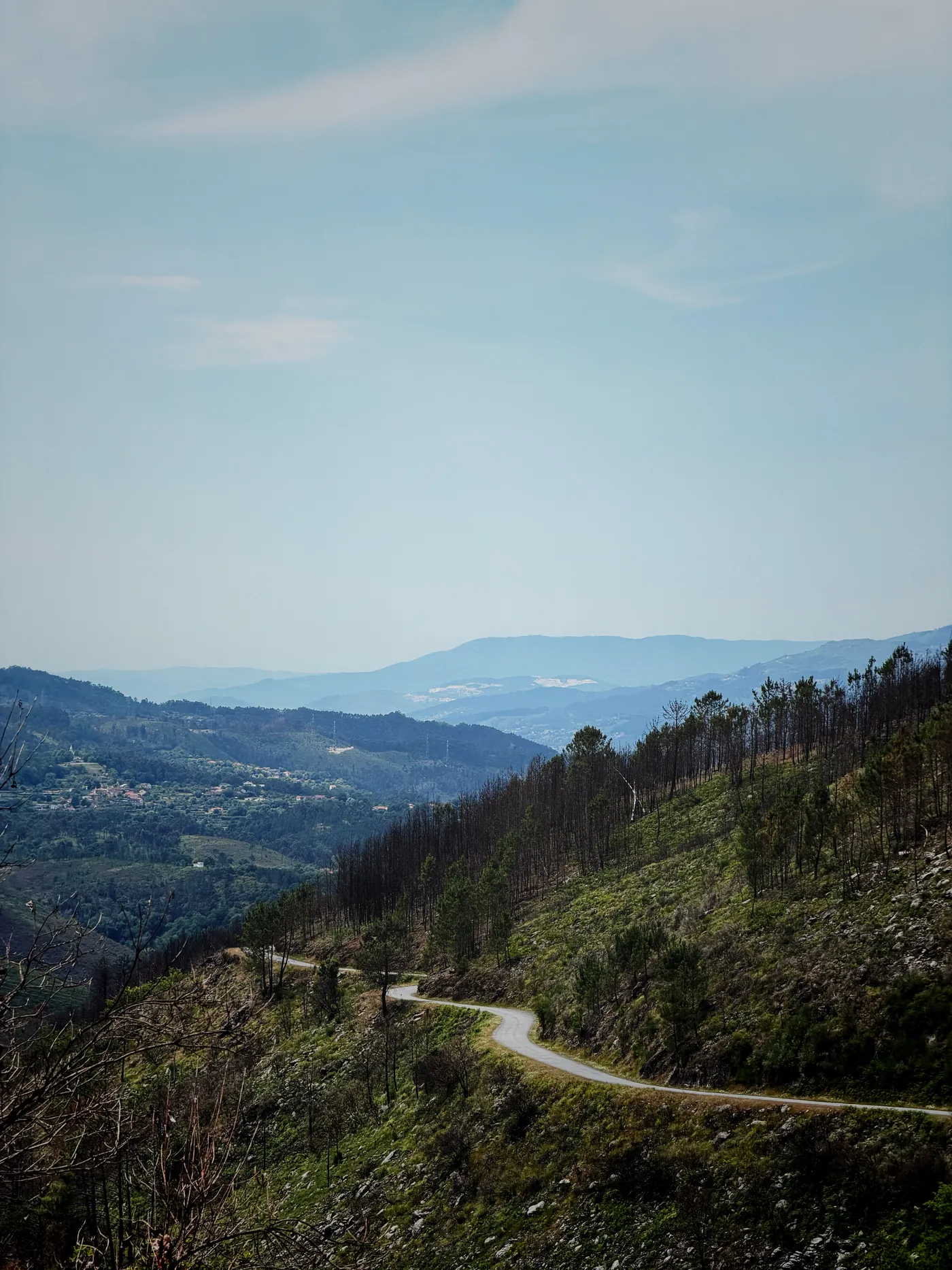A narrow road winding through burnt-pine hills with a hazy valley beyond